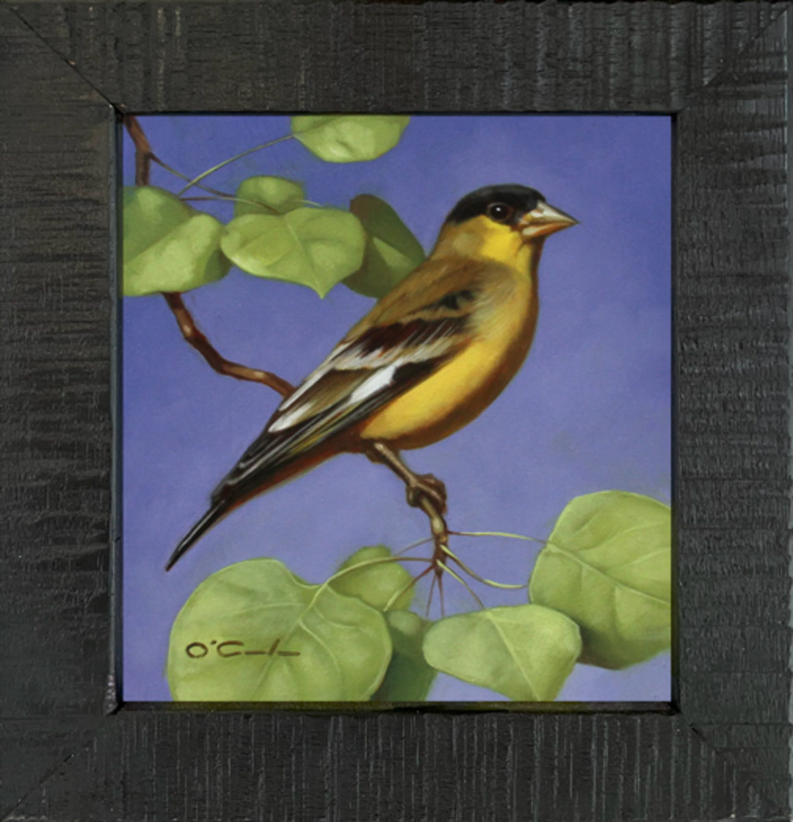 There's Nothing Lesser About Me