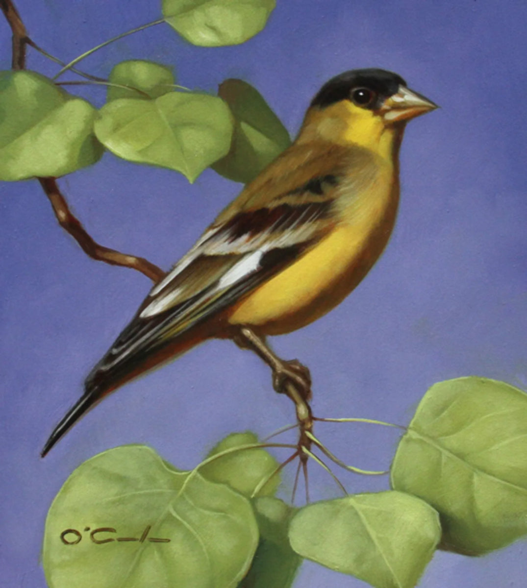 There's Nothing Lesser About Me