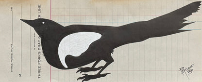 Low Magpie