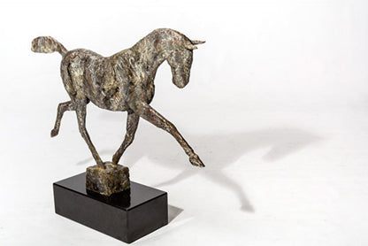 Young Horse Running 8/9