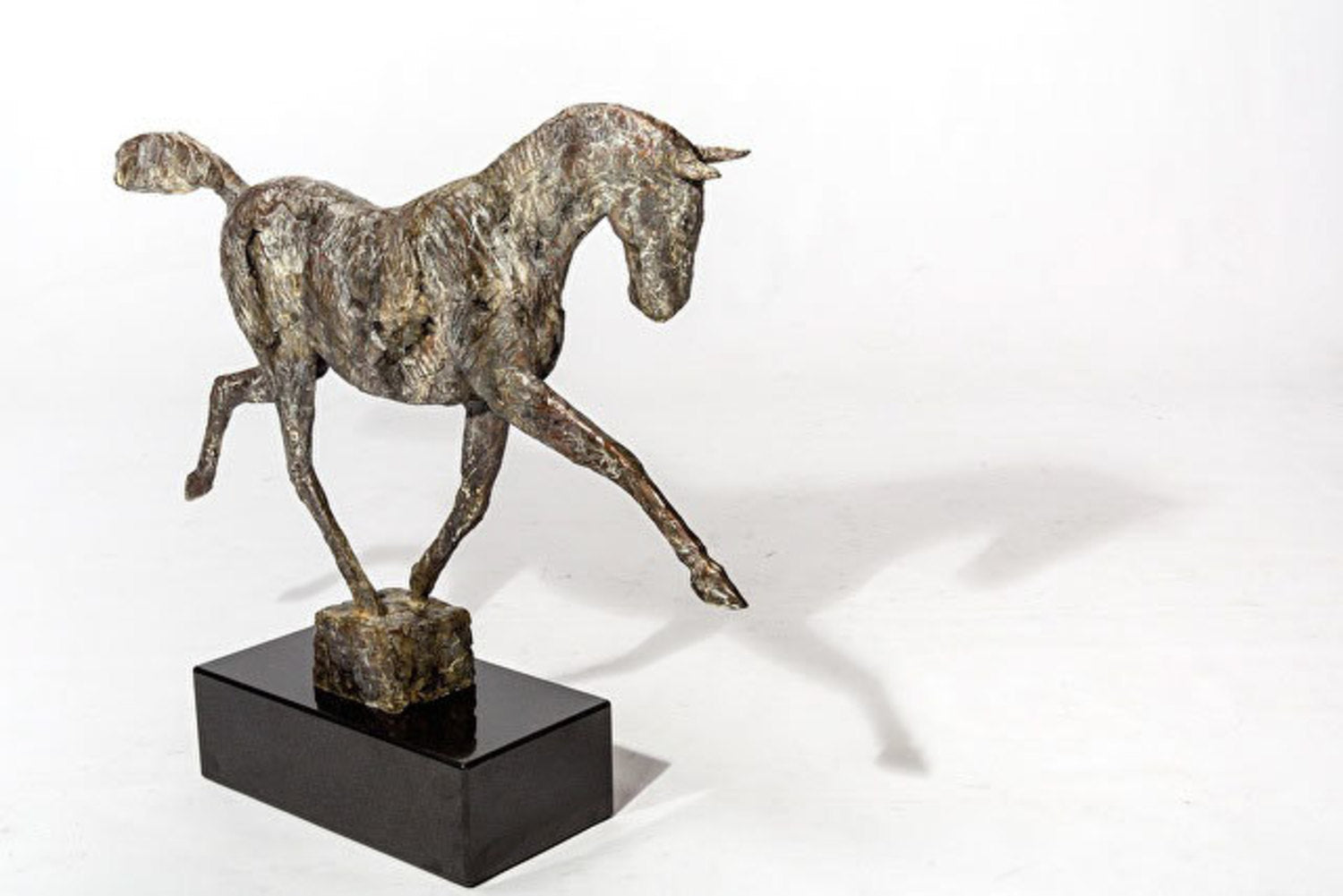 Young Horse Running 8/9