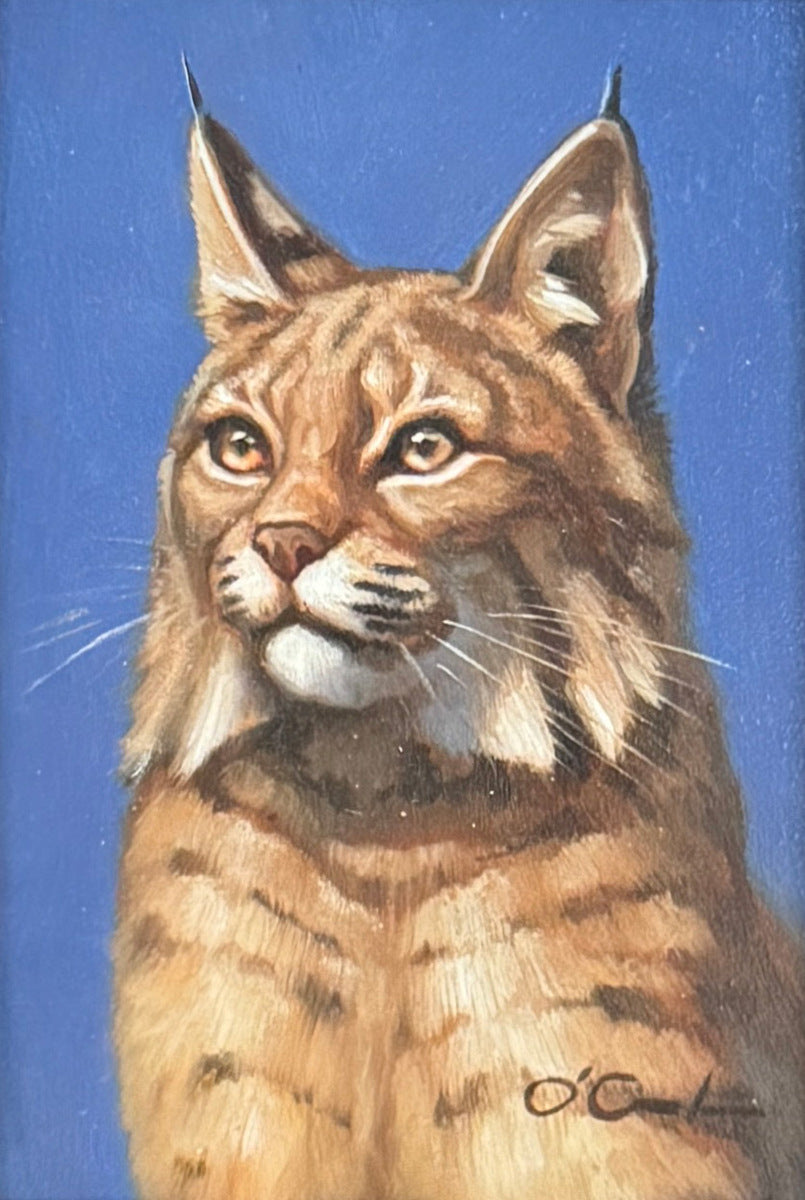 Bobcat on Cobalt