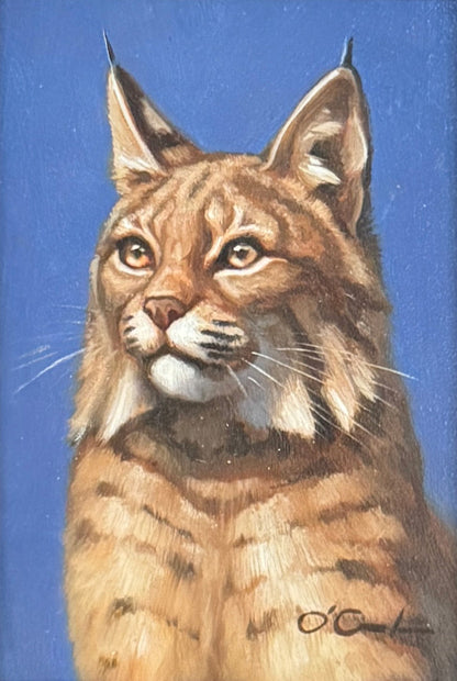 Bobcat on Cobalt