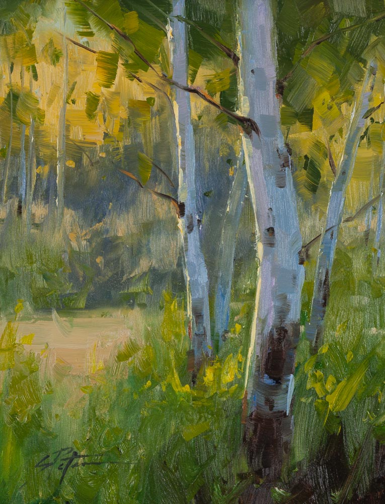 Midsummer Light by Stacey Peterson Midsummer Light by Stacey Peterson