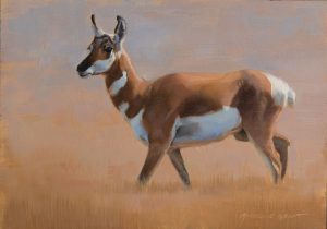 Pronghorn Doe by Michelle Grant
