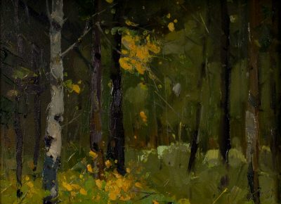 Forest Interior by Roger Rink