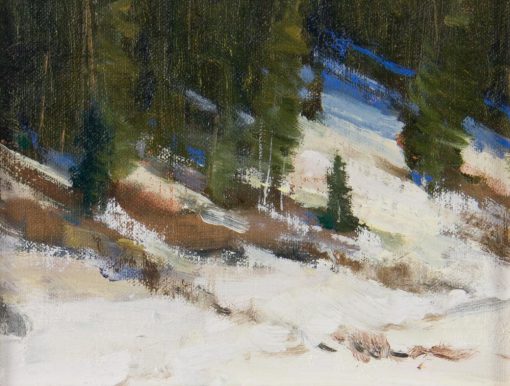 Snow Study by Doug Swinton