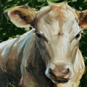 Portrait of a Cow by George Hill
