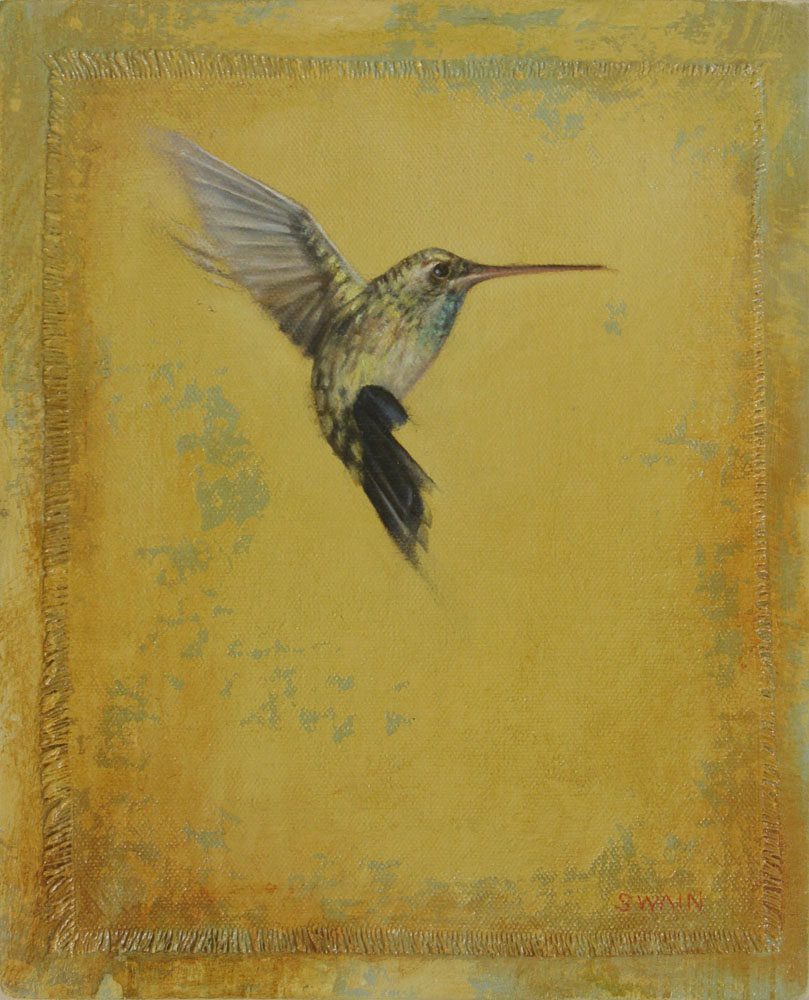 Flutter by Tyler Swain Flutter by Tyler Swain