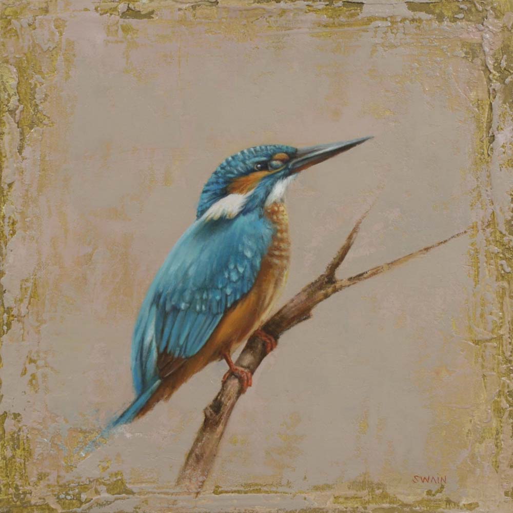 Kingfisher by Tyler Swain Kingfisher by Tyler Swain