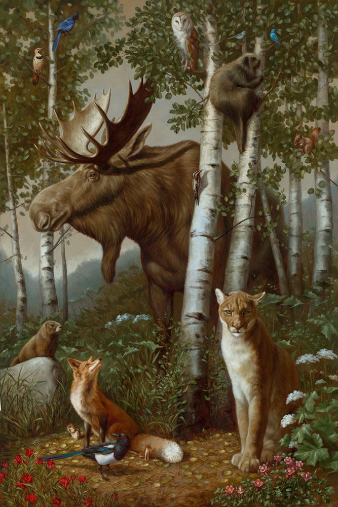 High Country Harmony by Jennifer O’Cualain