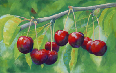 Cherry Notes