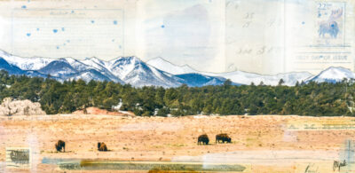 Bison Below the Peaks