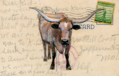 Longhorn Post V