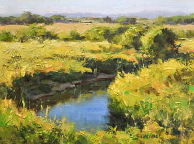 Prairie Stream