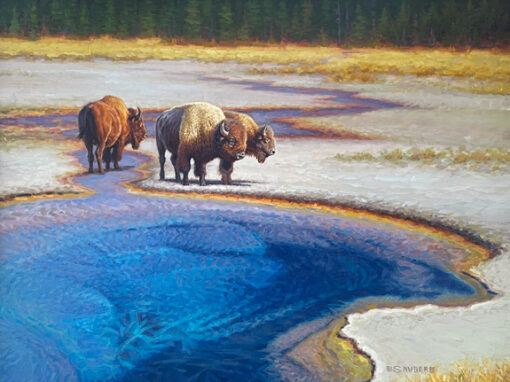 Rainbow Pool