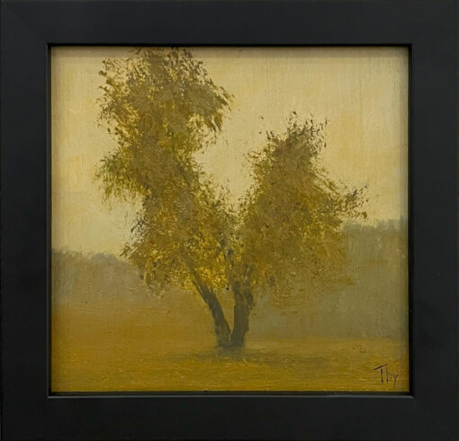 Shadows of Gold - Image 2